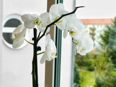 podologie-meissen-52